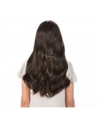24 inch Natural Brown #4 silk top wig with tiny layers