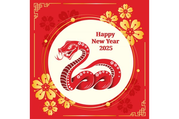 Exciting News: New Year Holiday Notice from January 25th to February 5th